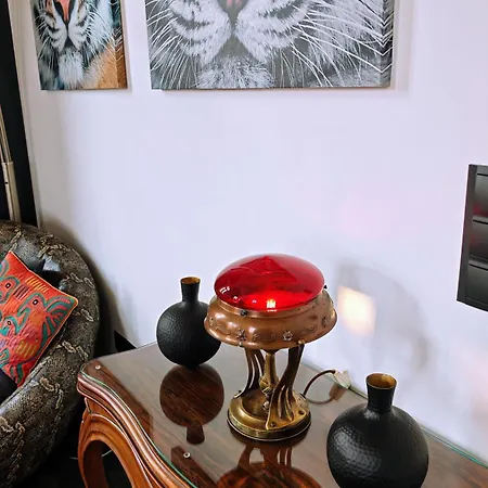 Luxury Model Appartement